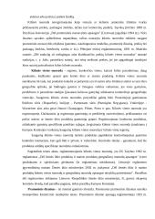 Pramoninės nuosavybės apsauga muitinėje  10 puslapis