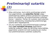 Preliminarioji sutartis skaidrės 12 puslapis