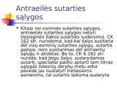 Preliminarioji sutartis skaidrės 17 puslapis