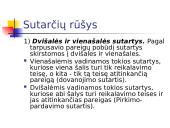 Preliminarioji sutartis skaidrės 3 puslapis