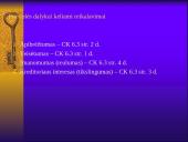 Prievolės samprata, esmė, elementai 12 puslapis