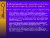 Prievolės samprata, esmė, elementai 13 puslapis