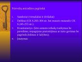 Prievolės samprata, esmė, elementai 14 puslapis