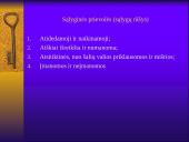 Prievolės samprata, esmė, elementai 19 puslapis