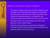 Prievolės samprata, esmė, elementai 6 puslapis