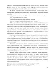 Prievolėms keliami reikalavimai ir jų įtaka sutarčių galiojimui 13 puslapis