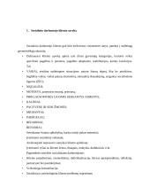 Europos Komisijos kovai su netolerancija veikla 3 puslapis