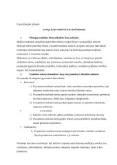 Nesugebėjimo arba nenorėjimo mokytis priežasčių analizė ir rekomendacijų suformulavimas 11 puslapis