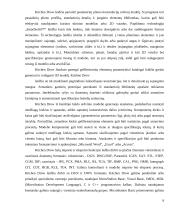 Baldų projektavimas 9 puslapis