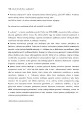 Stogų su asbestine danga rekonstrukcijos modelis 11 puslapis