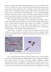 Stogų su asbestine danga rekonstrukcijos modelis 14 puslapis