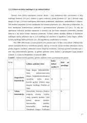 Stogų su asbestine danga rekonstrukcijos modelis 17 puslapis