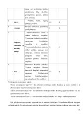 Stogų su asbestine danga rekonstrukcijos modelis 18 puslapis