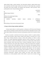 Stogų su asbestine danga rekonstrukcijos modelis 19 puslapis