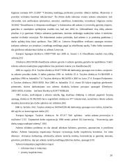 Stogų su asbestine danga rekonstrukcijos modelis 20 puslapis