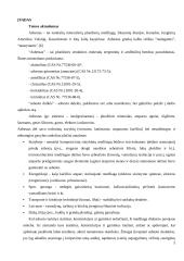 Stogų su asbestine danga rekonstrukcijos modelis 5 puslapis