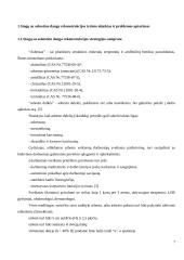 Stogų su asbestine danga rekonstrukcijos modelis 7 puslapis