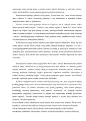 Plungės regiono kaimo turizmo sezoniškumo problemos bei ypatumai 11 puslapis