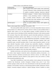 Socialiai atsakingas marketingas įmonės pavyzdžiu 5 puslapis