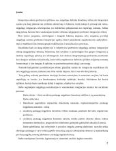 Socialinių paslaugų neįgaliems žmonėms rodikliai ir jų panaudojimas 2 puslapis