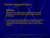 Sutarčių teisės pagrindai  11 puslapis