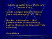 Sutarčių teisės pagrindai  12 puslapis