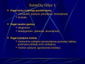 Sutarčių teisės pagrindai  14 puslapis