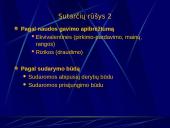 Sutarčių teisės pagrindai  15 puslapis