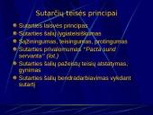 Sutarčių teisės pagrindai  9 puslapis