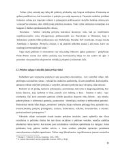 Tarptautinės politinės ekonomikos dinamika 11 puslapis