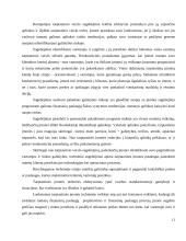 Tarptautinio verslo įgūdžiai ir jų vertinimas 11 puslapis