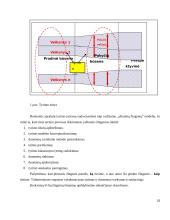Tarptautinio verslo įgūdžiai ir jų vertinimas 18 puslapis