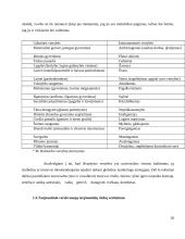 Tarptautinio verslo įgūdžiai ir jų vertinimas 20 puslapis