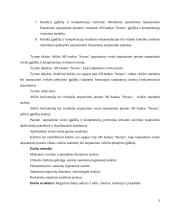 Tarptautinio verslo įgūdžiai ir jų vertinimas 3 puslapis