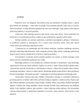 UAB "BSS prekyba" naujų rinkų paieškos galimybės 2 puslapis