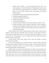 UAB "BSS prekyba" naujų rinkų paieškos galimybės 12 puslapis