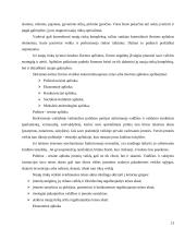 UAB "BSS prekyba" naujų rinkų paieškos galimybės 13 puslapis