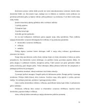 UAB "BSS prekyba" naujų rinkų paieškos galimybės 14 puslapis