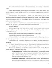 UAB "BSS prekyba" naujų rinkų paieškos galimybės 15 puslapis