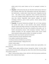 UAB "BSS prekyba" naujų rinkų paieškos galimybės 16 puslapis