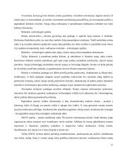 UAB "BSS prekyba" naujų rinkų paieškos galimybės 17 puslapis