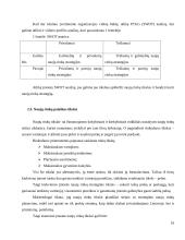 UAB "BSS prekyba" naujų rinkų paieškos galimybės 19 puslapis