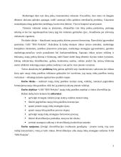 UAB "BSS prekyba" naujų rinkų paieškos galimybės 3 puslapis