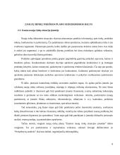 UAB "BSS prekyba" naujų rinkų paieškos galimybės 8 puslapis