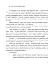 UAB "BSS prekyba" naujų rinkų paieškos galimybės 9 puslapis