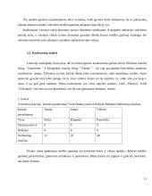 UAB "Jumps" verslo praktikos ataskaita 11 puslapis