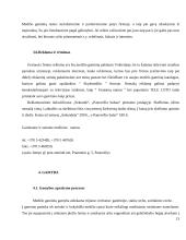 UAB "Jumps" verslo praktikos ataskaita 13 puslapis