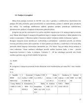 UAB "Jumps" verslo praktikos ataskaita 15 puslapis