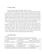 UAB "Jumps" verslo praktikos ataskaita 16 puslapis