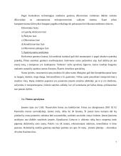 UAB "Jumps" verslo praktikos ataskaita 7 puslapis